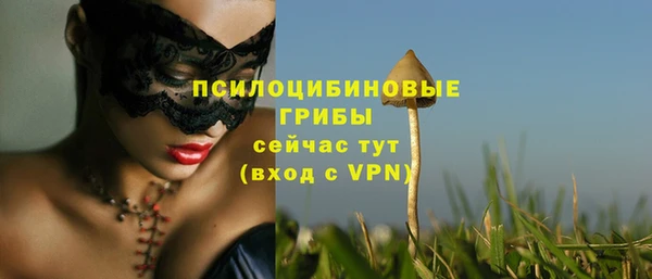 ALPHA PVP Мегион