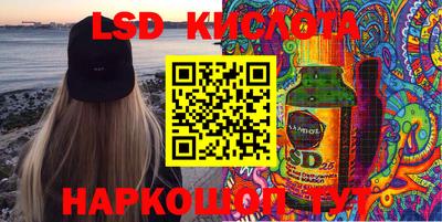 стаф Будённовск