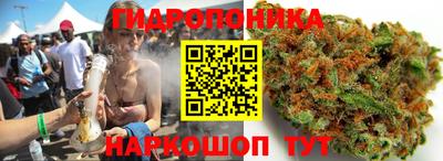 МДМА Гатчина