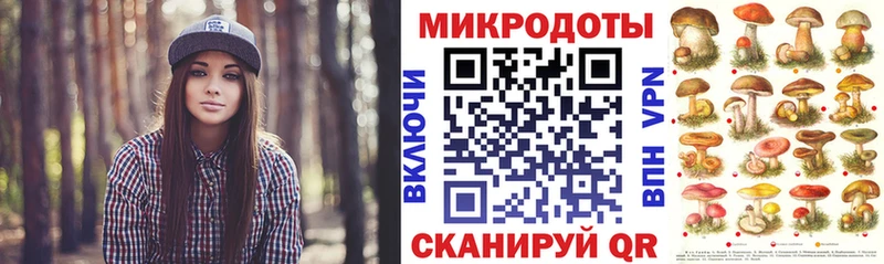 где найти   Гурьевск  Псилоцибиновые грибы прущие грибы 