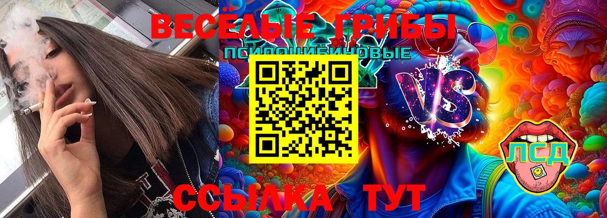 ГАШ Гурьевск