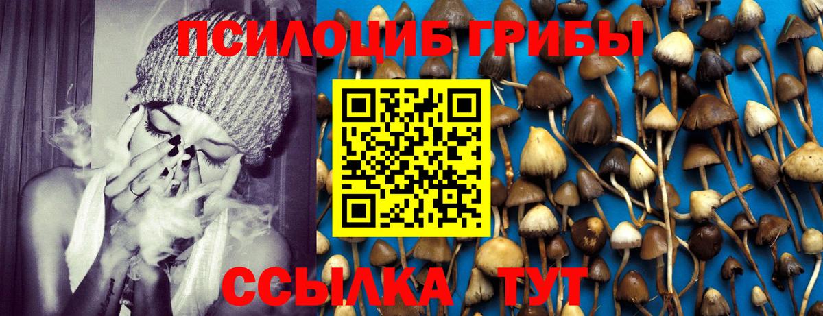 Псилоцибиновые грибы Cubensis Гурьевск