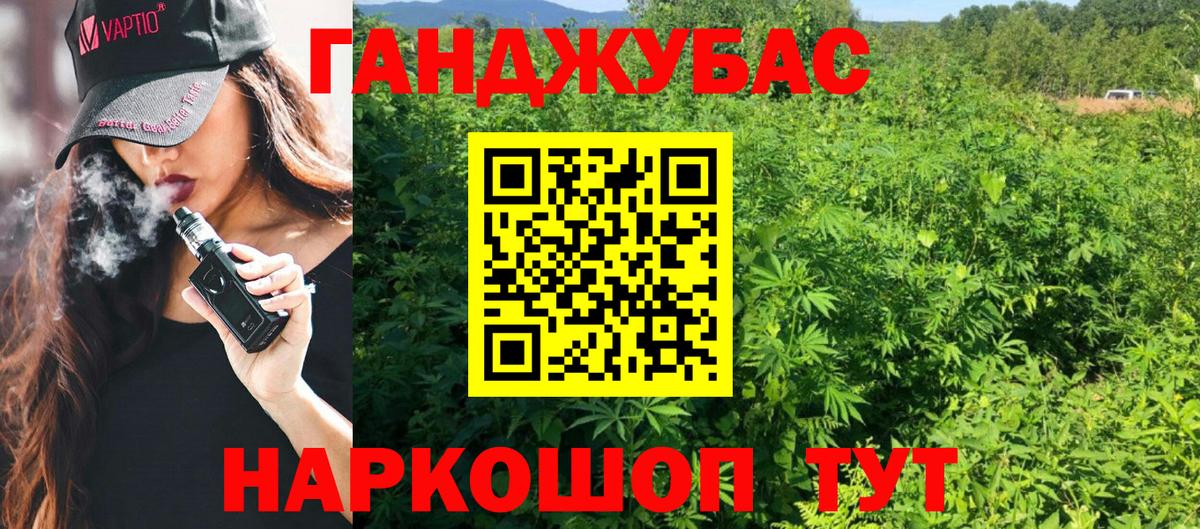 Конопля сатива Гурьевск