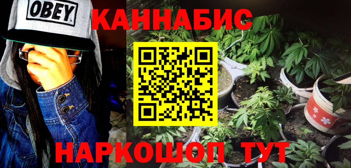 Марихуана конопля Гурьевск